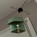 제이엠의원 | 제이엠의원 방문 상담〃마운자로 다이어트 수액 처방 후기💉 - Week 1