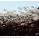 강변자전거길 2 이미지