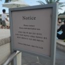 신라샘1 | [제주 태교여행 Day2] 제주신라호텔 호캉스 시작~! 제주태교여행 호텔추천/ 중문고등어쌈밥/ 낭만적인...