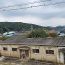 양화 금강변 이미지