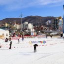 겨울 여행 강원도 가볼만한곳 횡계리 일원에서 펼쳐지는 태백산맥 대관령 눈꽃축제 평창 여행 이미지