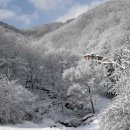발교산 산장 Daum카페