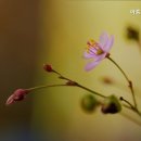 아름다운요양원 이미지