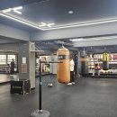 임팩트 복싱클럽 이미지