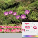채도 이미지