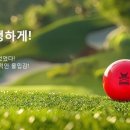 동아스크린골프 이미지