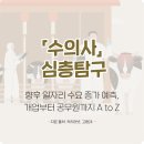 건국대학교 수의방역대학원 | 수의사 심층탐구, 하는 일·연봉·전망·준비방법