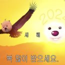 카페파리도시