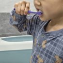 개맵지 | 뷰카 주니어 치약 애플망고향 출시 맵지 않은 고불소 어린이치약 추천