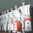VIP골프클럽