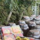 삼천포중앙고등학교 이미지