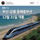 부산-강릉 곧 연결 이미지