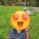 맘에든 유치원 | 워킹맘 기록 │분당 유치원 이매 유치원 5세반 후기