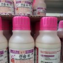 ㈜인바이오 | 선승/트랜스폼 의 시기가 왔다