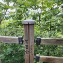 20260801 강원도 화천 병풍산 이미지