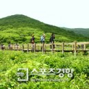 곰배령 이미지