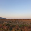 지산낚시