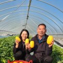 홍원바이오아그로 이미지