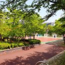 초록공원 농구장 이미지