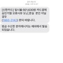 줌님들 이거 피싱문자죠..??!! 이미지