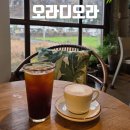 오라디오라 | 제주 산방산 카페 오라디오라 뷰 분위기 깡패 내돈내산