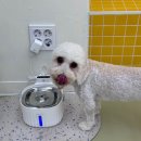 (주)헬로우케어 네이버블로그