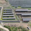 성읍리 태양광발전소 이미지