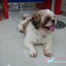 동글동글 이미지