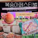 춘천호반체육관 | 2026 춘천 복숭아페스티벌 : 가격과 구매후기, 복숭아 품종 정리