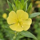 김준식농장 이미지