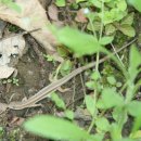 거창-신원-2 이미지