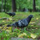 소향공원 이미지