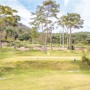 솔내음야영장 이미지