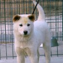 소망축산 이미지