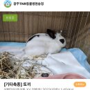 광주TNR동물병원(송정) 이미지