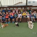 부평하나용인대태권도장 이미지