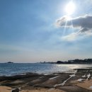 스테이고성 이미지