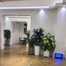 허왕후 오리명가 이미지