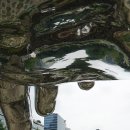 김권태