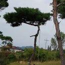 상면보건지소 이미지