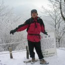 정상 Daum카페