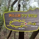오름라이팅