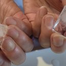 이엔아이지 이미지