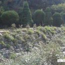 안양수리산한증원 이미지