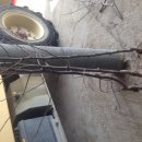 새천년농원 이미지