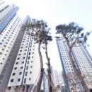 검단신도시 대성베르힐라프리미어 네이버블로그