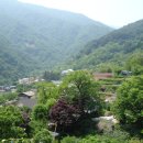 대성골2 이미지