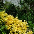 사철슈퍼 이미지