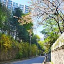 상현로88번길 이미지