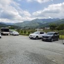 357 | 원주 알파카 카페 ‘카페357’ 후기(내돈내산 솔직후기)